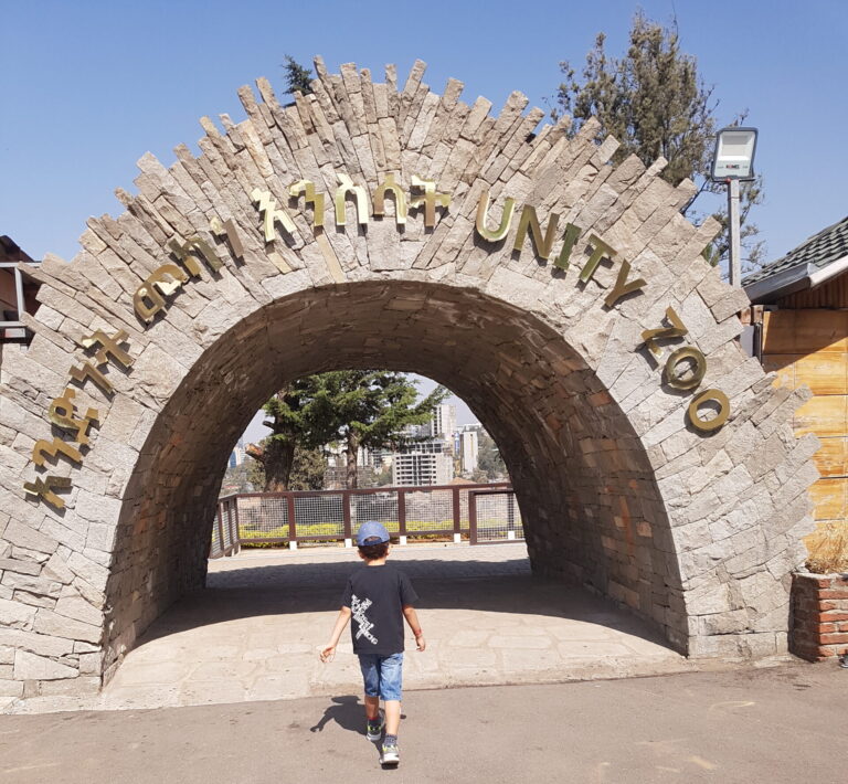 Where Play meets the past: Unity Park through the eyes of kids
